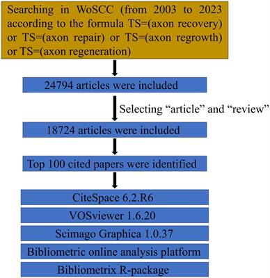 The top 100 most cited articles on axon regeneration from 2003 to 2023: a bibliometric analysis